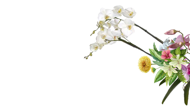 Bg save the date 2 e1739605670638.png