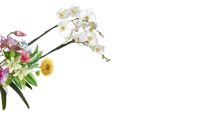 Bg save the date 3.png