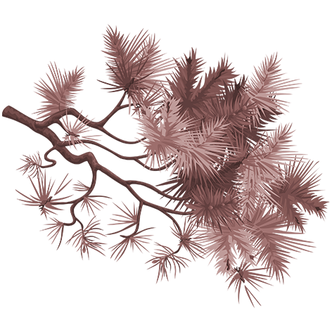 Ranting 1 e1760511390448.png